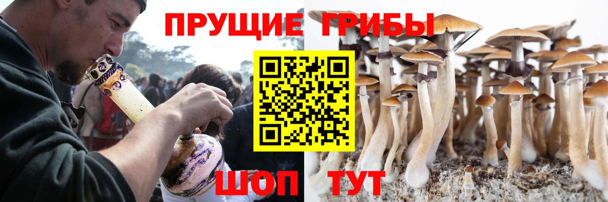 Пенза  Галлюциногенные грибы прущие грибы  Вход с VPN 